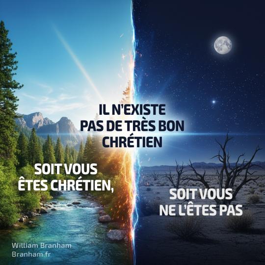 Картинка цитаты