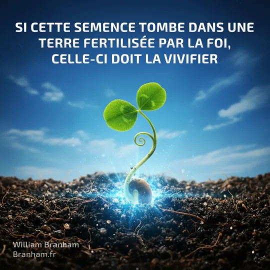 Картинка цитаты