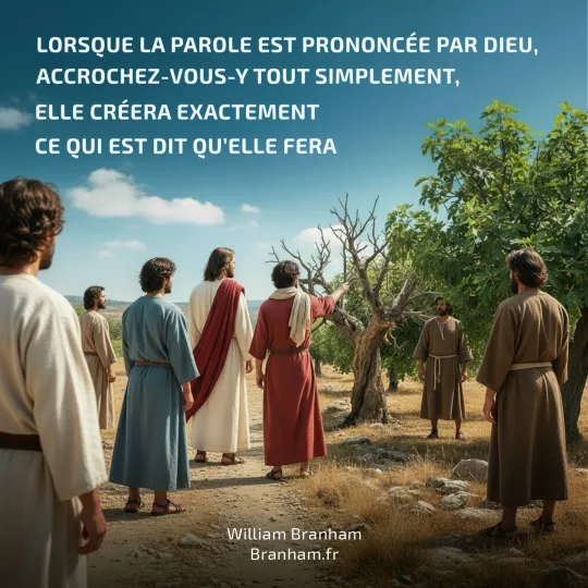 Картинка цитаты