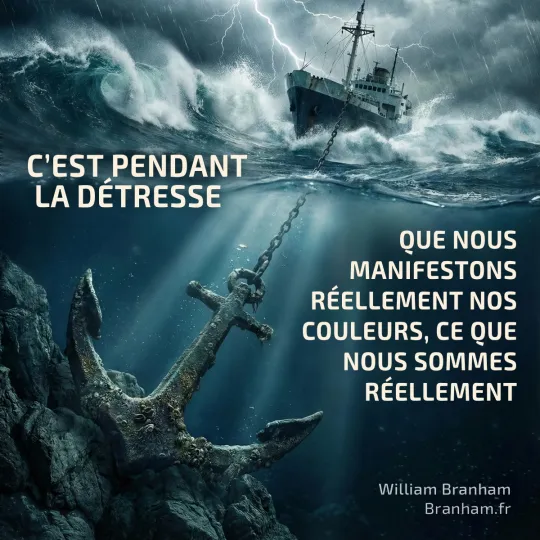 Картинка цитаты