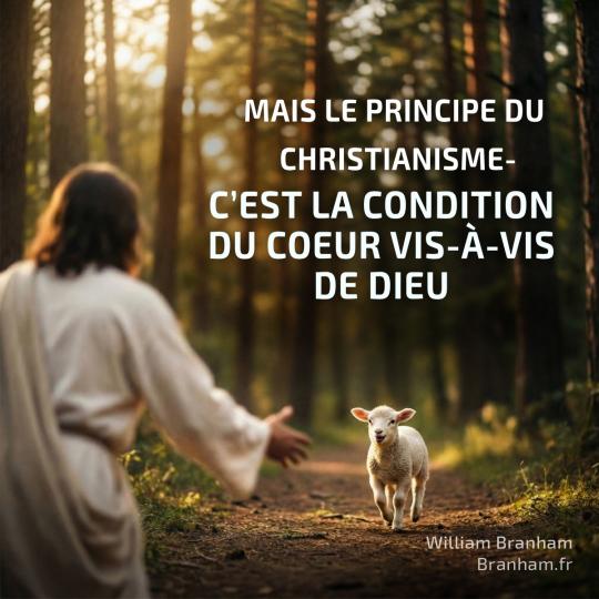 Картинка цитаты