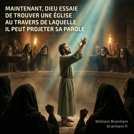 Картинка цитаты