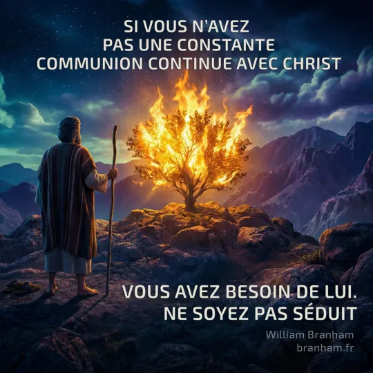 Картинка цитаты